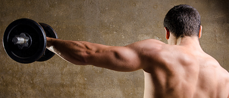Shoulder Deltoids Muscles